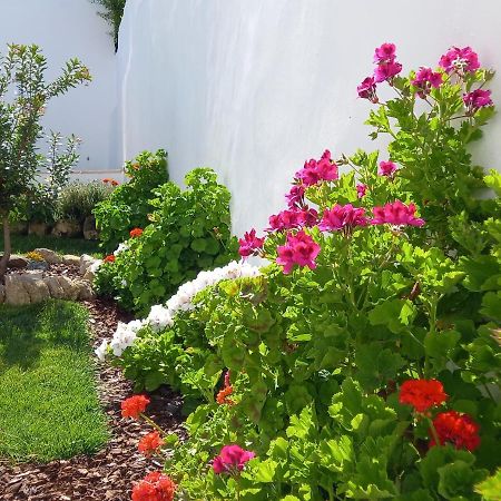 Pateo Dos Oliveira - Casa Dos Senhores Evora Luaran gambar